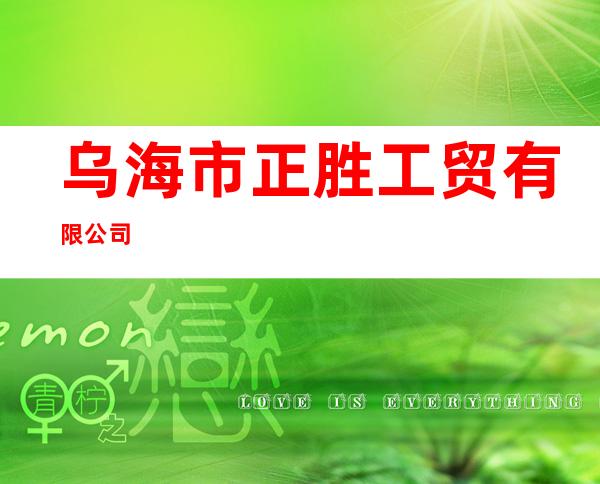 乌海市正胜工贸有限公司